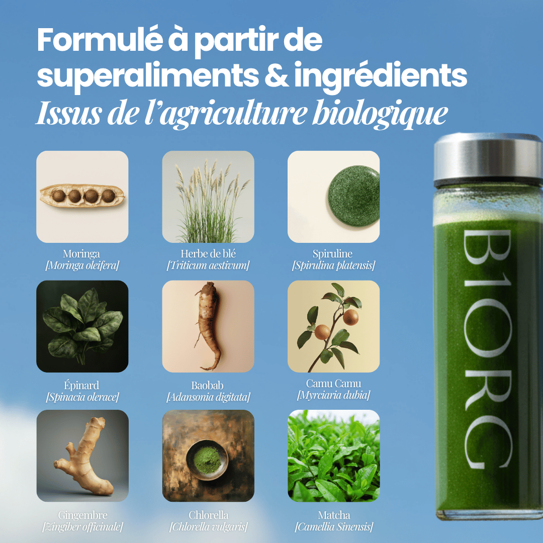 Greens by B1ORG - Complément Nutritionnel Biologique avec Vitamines Minéraux Adaptogènes Superaliments Antioxydants 30 Jours d'Utilisation Tout-en-un pour Digestion, Performance, Récupération & Bien-être Bouteille en verre premium offerte
