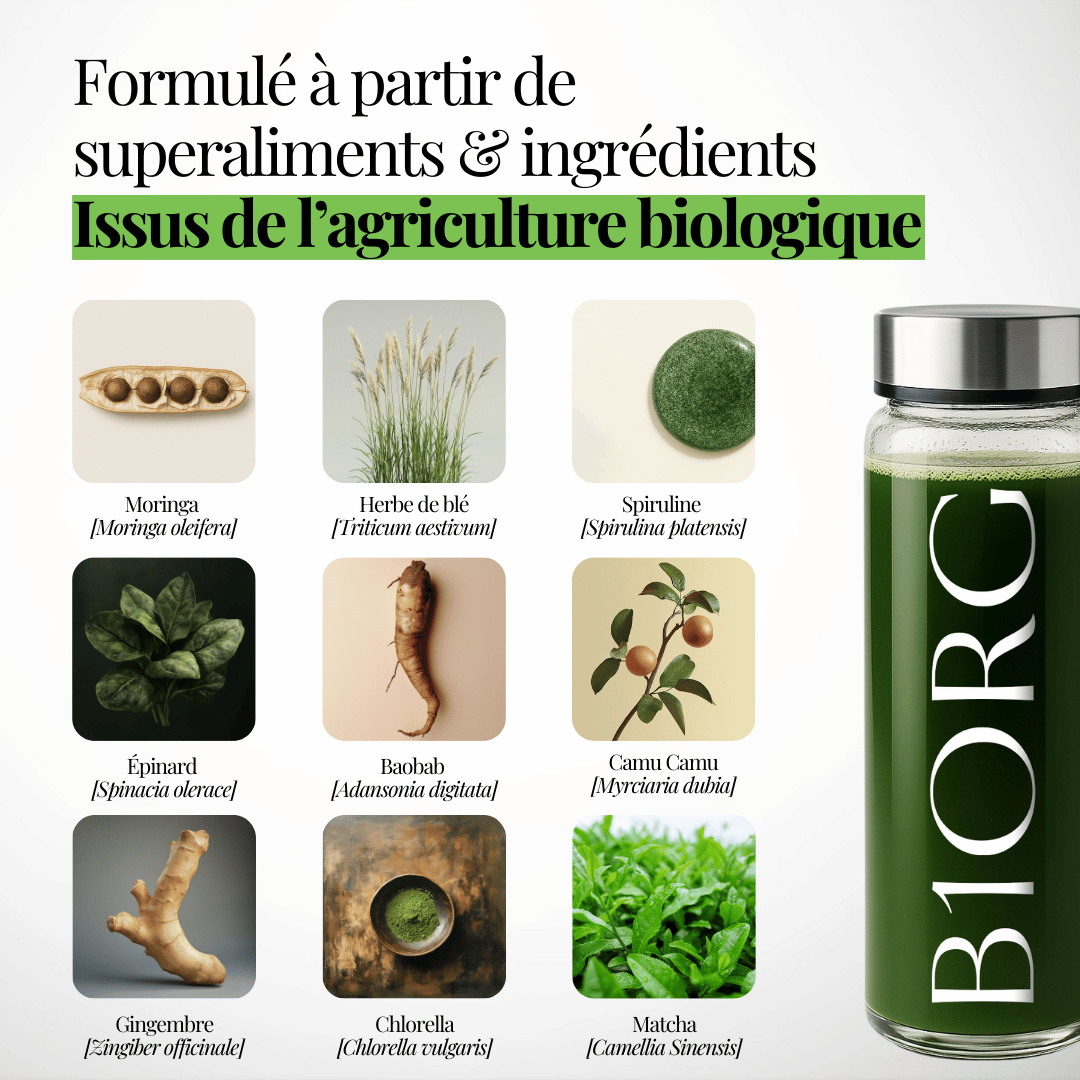 Greens by B1ORG - Complément Nutritionnel Biologique avec Vitamines Minéraux Adaptogènes Superaliments Antioxydants 30 Jours d'Utilisation Tout-en-un pour Digestion, Performance, Récupération & Bien-être Bouteille en verre premium offerte